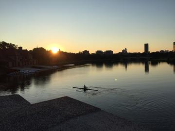 A solitary rower on the Charles River at sunrise
