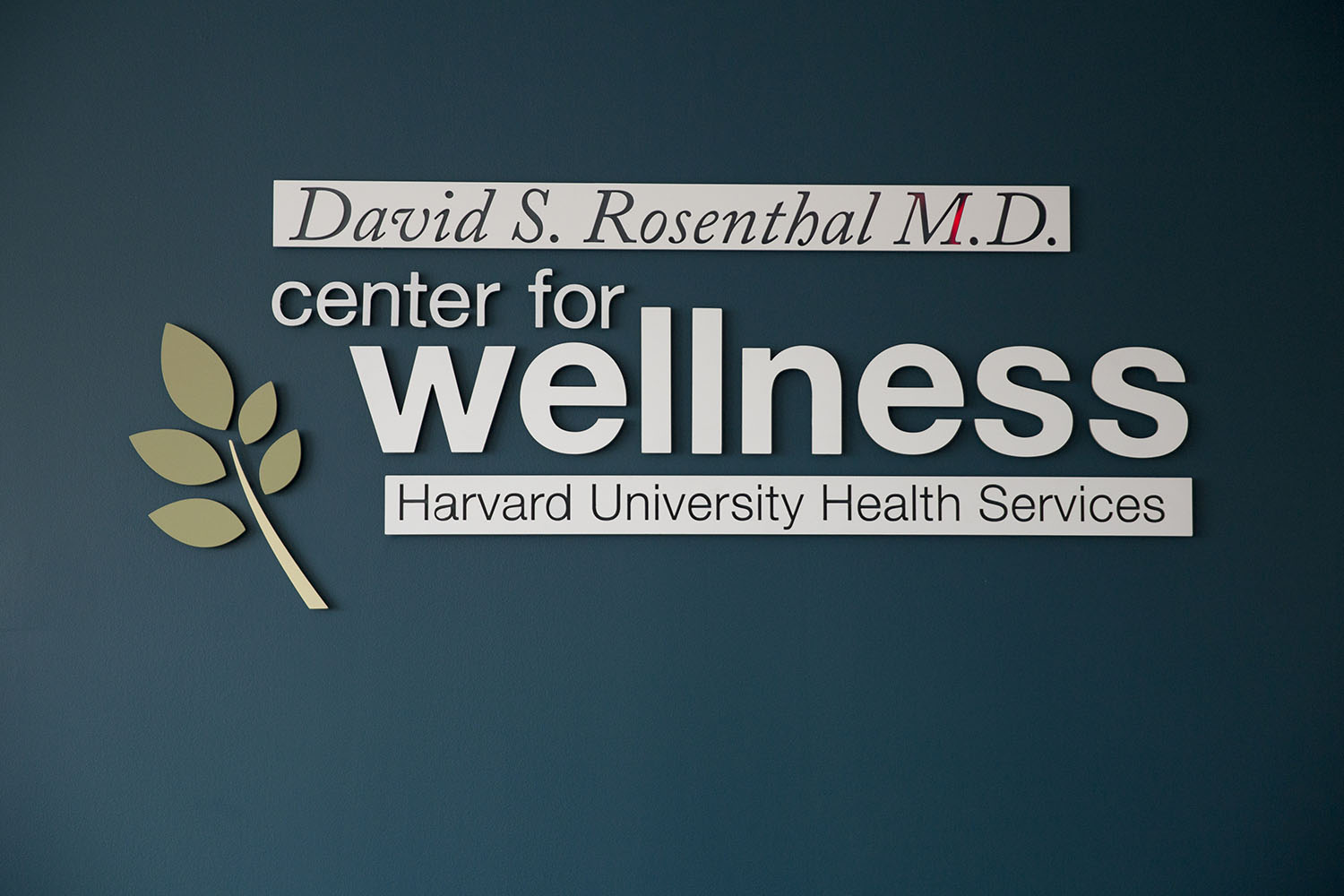 011817_wellness_0645.jpg